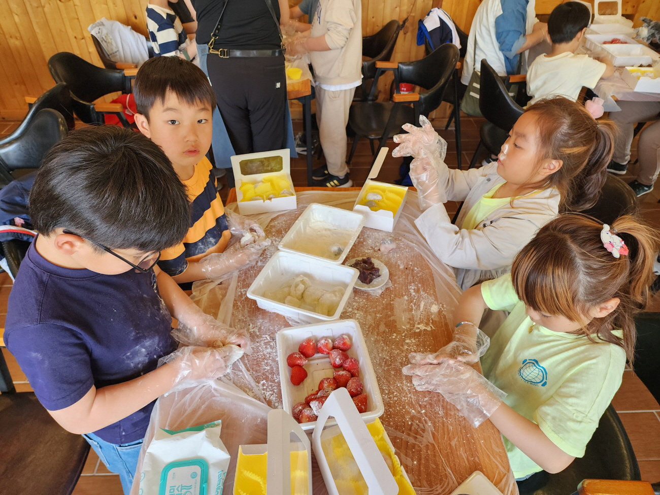 2024 더나은 작은학교 교육과정 브랜딩 봄 자연관찰 체험 사진